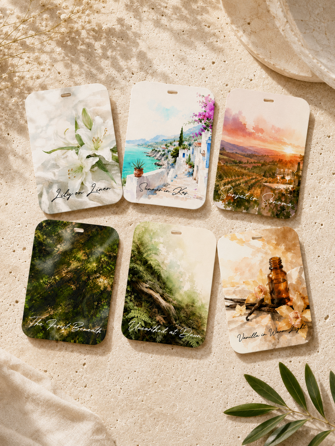 Aerovita Discovery Set