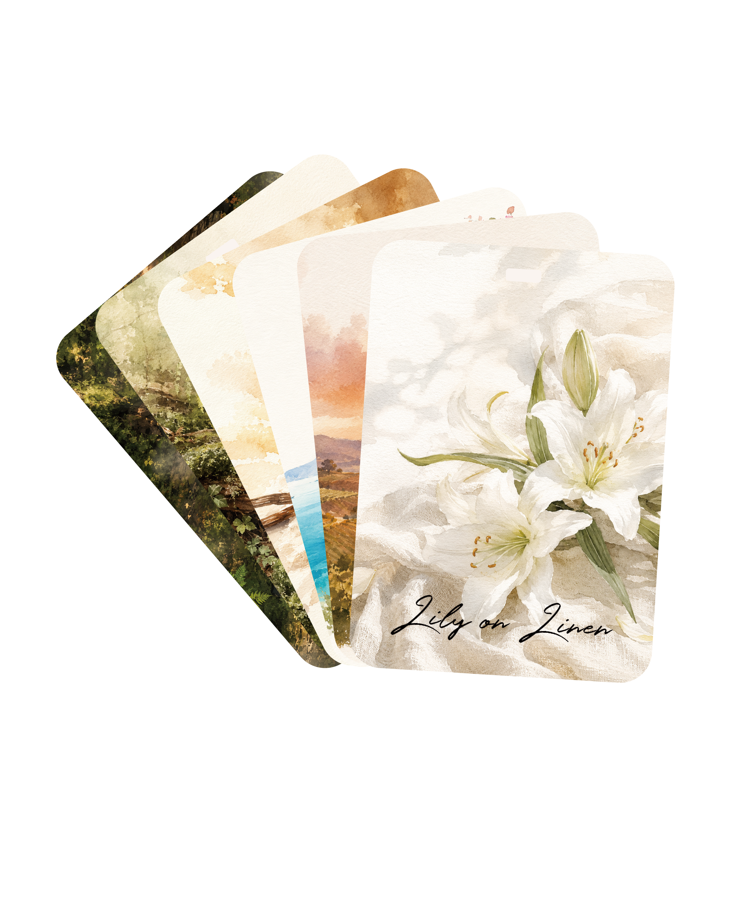Aerovita Discovery Set