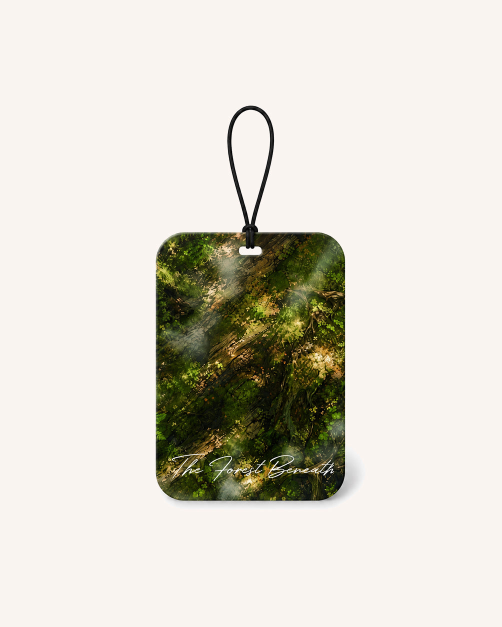 The Forest Beneath - Set of 6